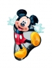 S/Shape Mickey Full Body P38