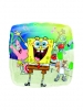 Standard Sponge Bob S60